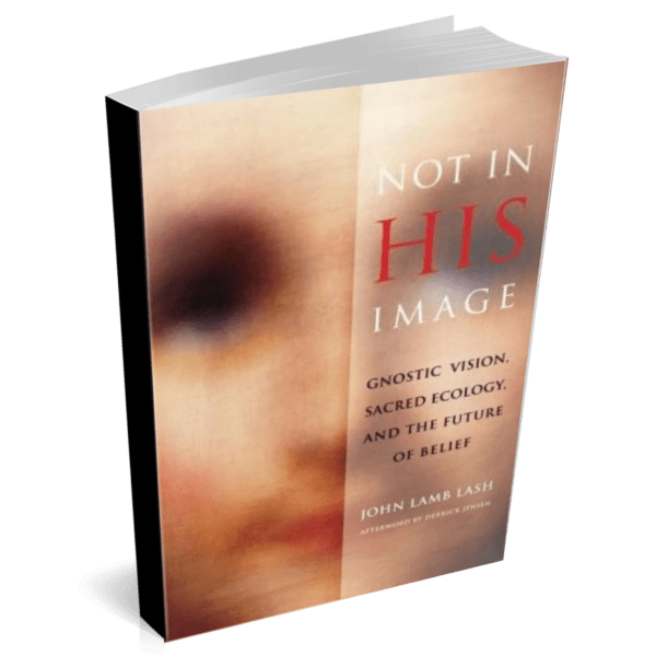 Not in His Image: Gnostic Vision, Sacred Ecology, and the Future of Belief Paperback – Nov. 15 2006
