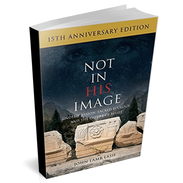 Not in His Image (15th Anniversary Edition): Gnostic Vision, Sacred Ecology, and the Future of Belief